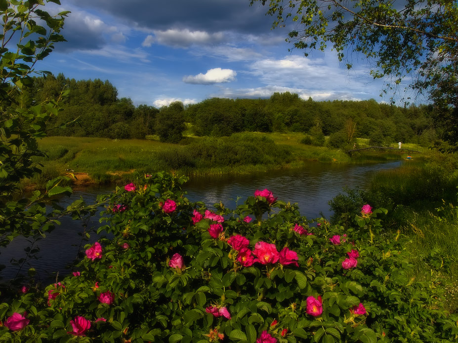 photo "***" tags: landscape, summer, water