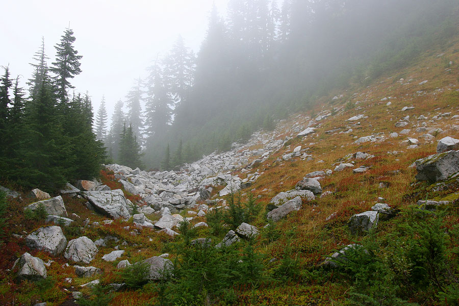 photo "***" tags: landscape, autumn, forest