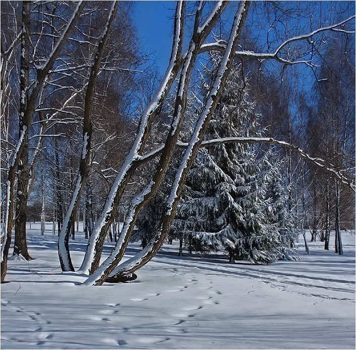 фото "Одностороннее наметение." метки: пейзаж, 