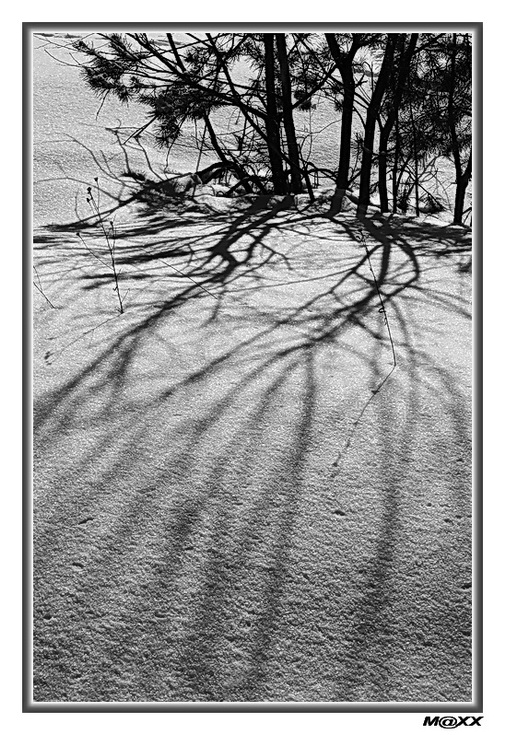 фото "The Shadows" метки: пейзаж, зима