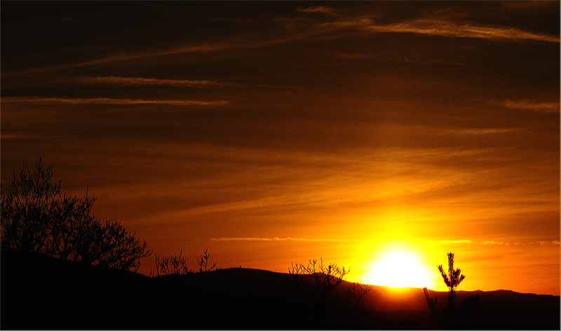 фото "Sun...." метки: пейзаж, 