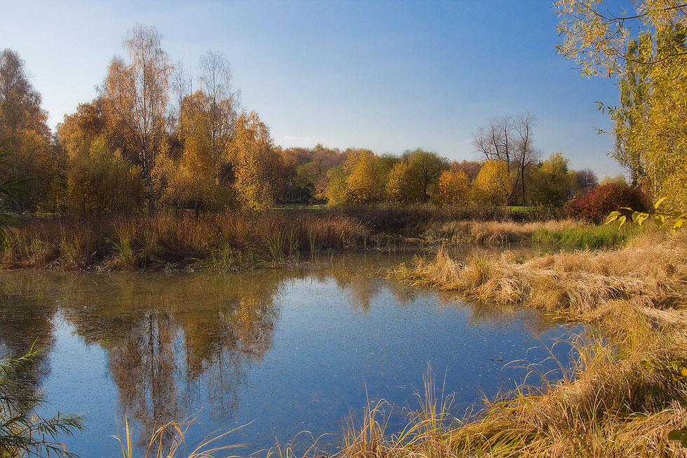 фото "* * *" метки: пейзаж, осень