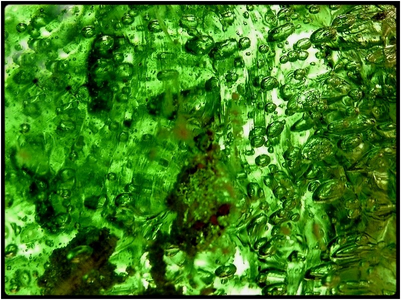 photo "green molten glass" tags: abstract, macro and close-up, 