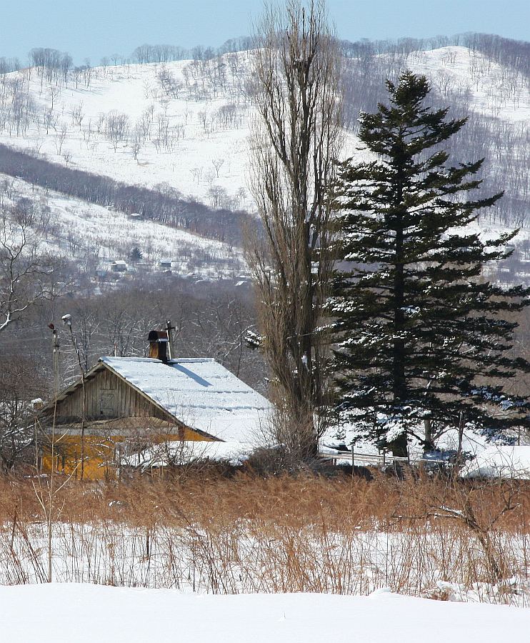 photo "***" tags: landscape, winter