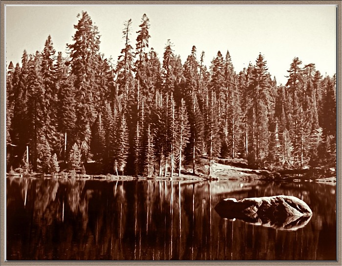 photo "Sierra Shoreline" tags: landscape, forest, water