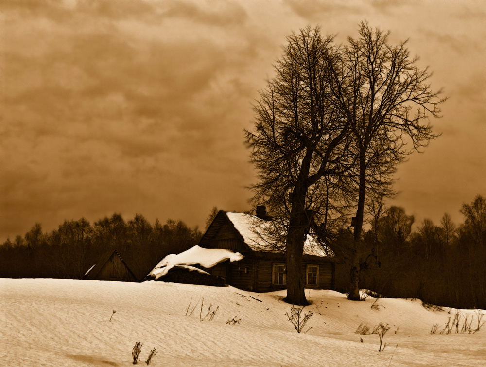 photo "***" tags: landscape, forest