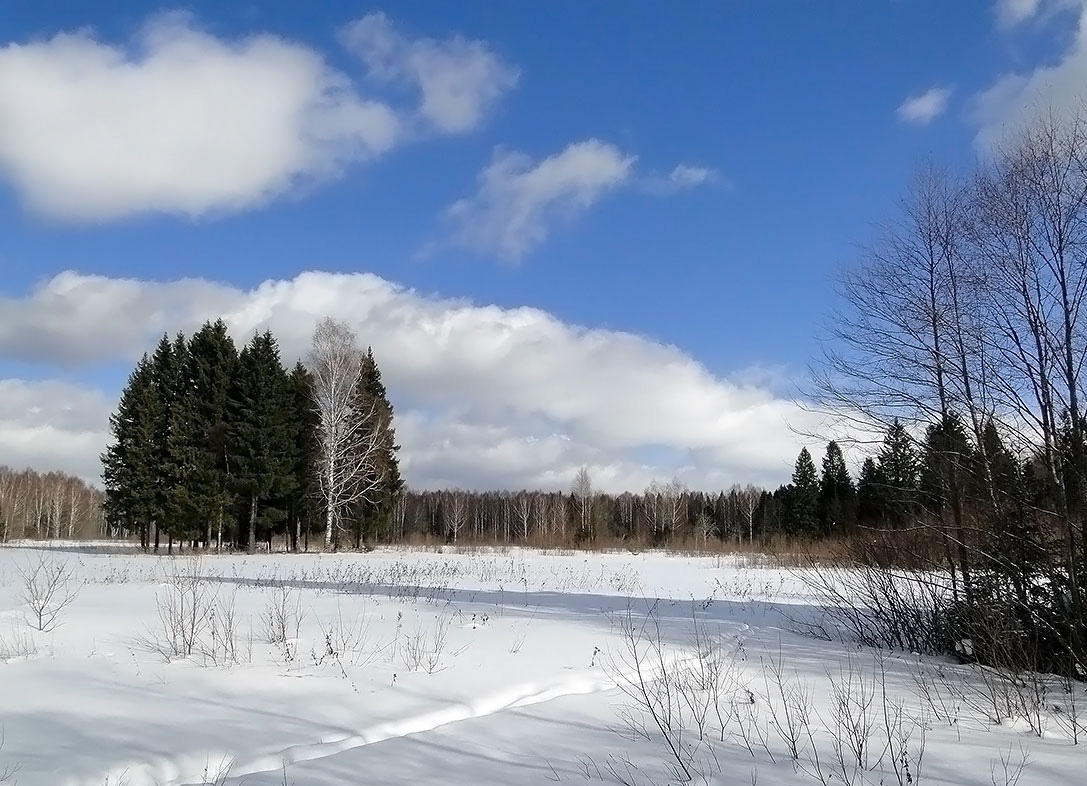 photo "***" tags: landscape, nature, winter