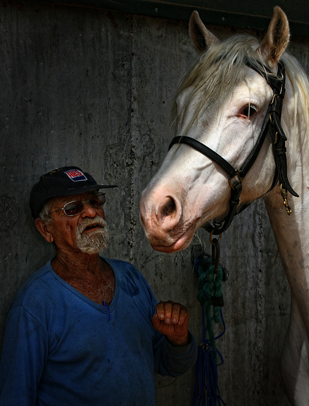 photo "***" tags: nature, pets/farm animals