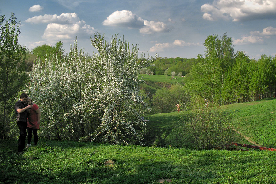 photo "I'm waiting for spring ..." tags: landscape, genre, spring