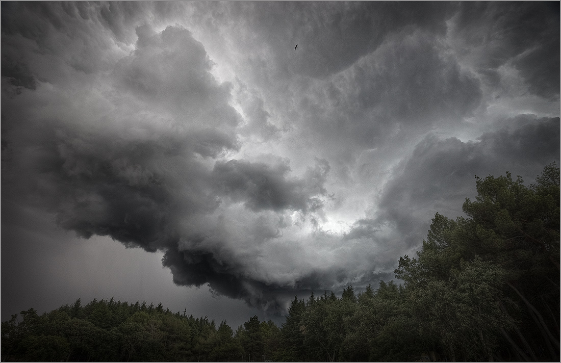 photo "Before the storm" tags: landscape, clouds