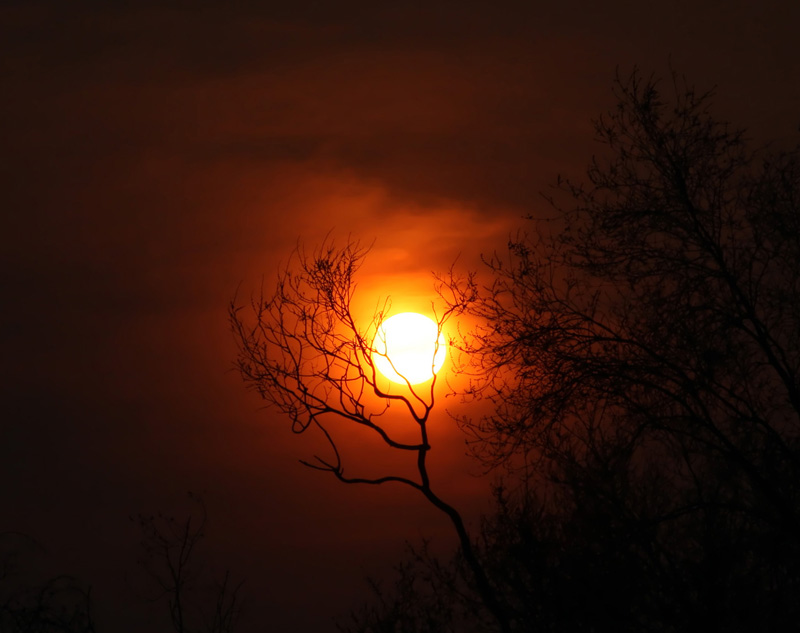 photo "nature, sunset, night" tags: landscape, summer, sunset