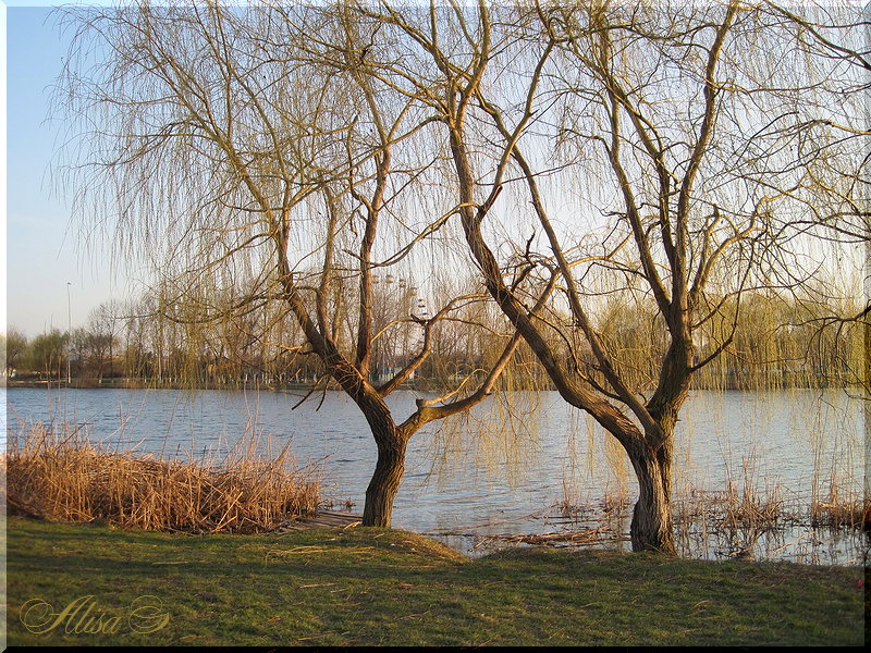 photo "***" tags: landscape, evening, spring, water