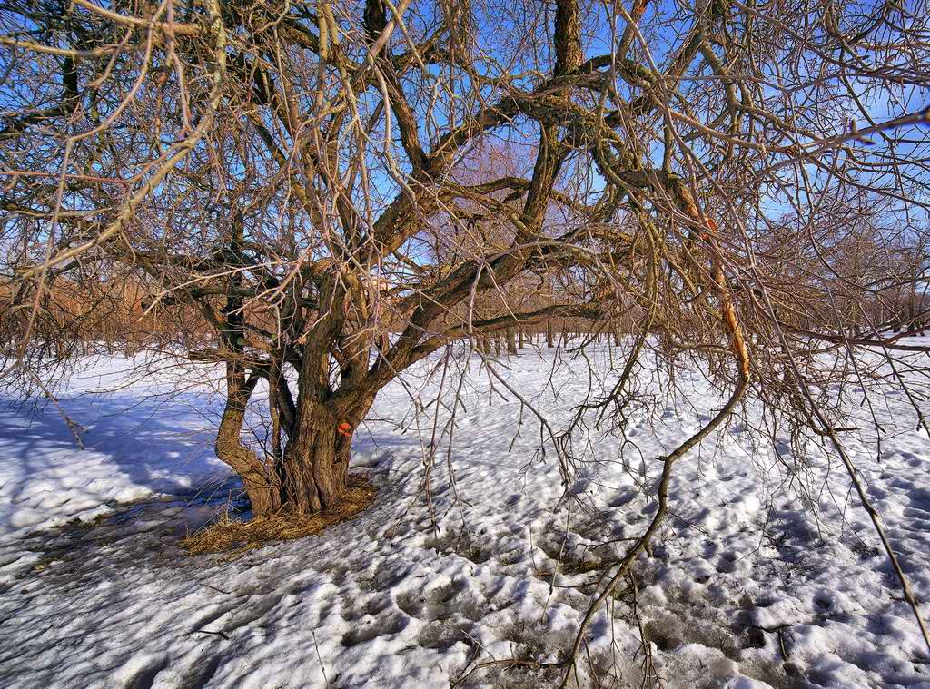 photo "***" tags: landscape, spring