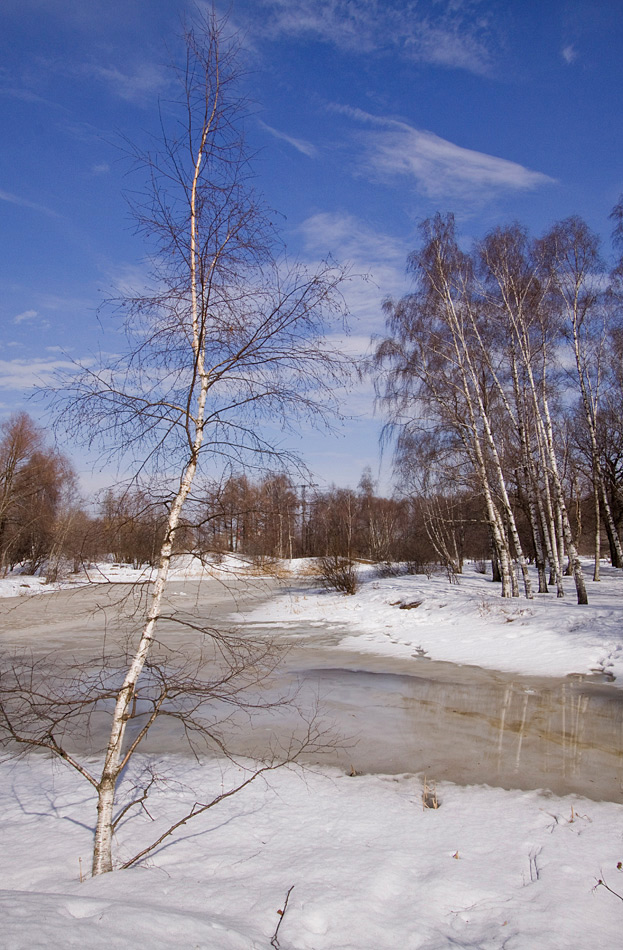 фото "Март" метки: пейзаж, весна