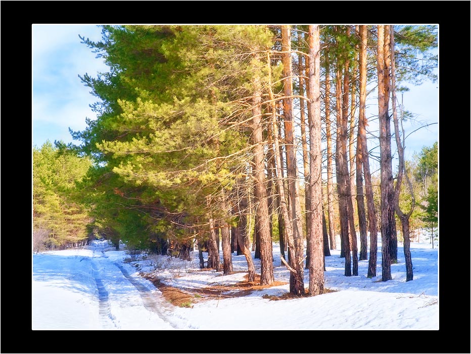 photo "March" tags: landscape, forest, spring