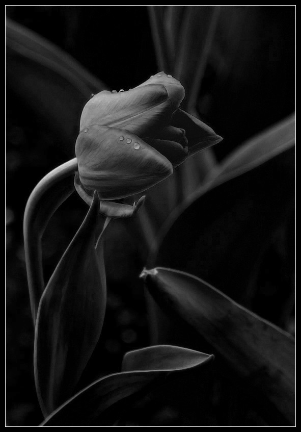 photo "Grief ..." tags: , 