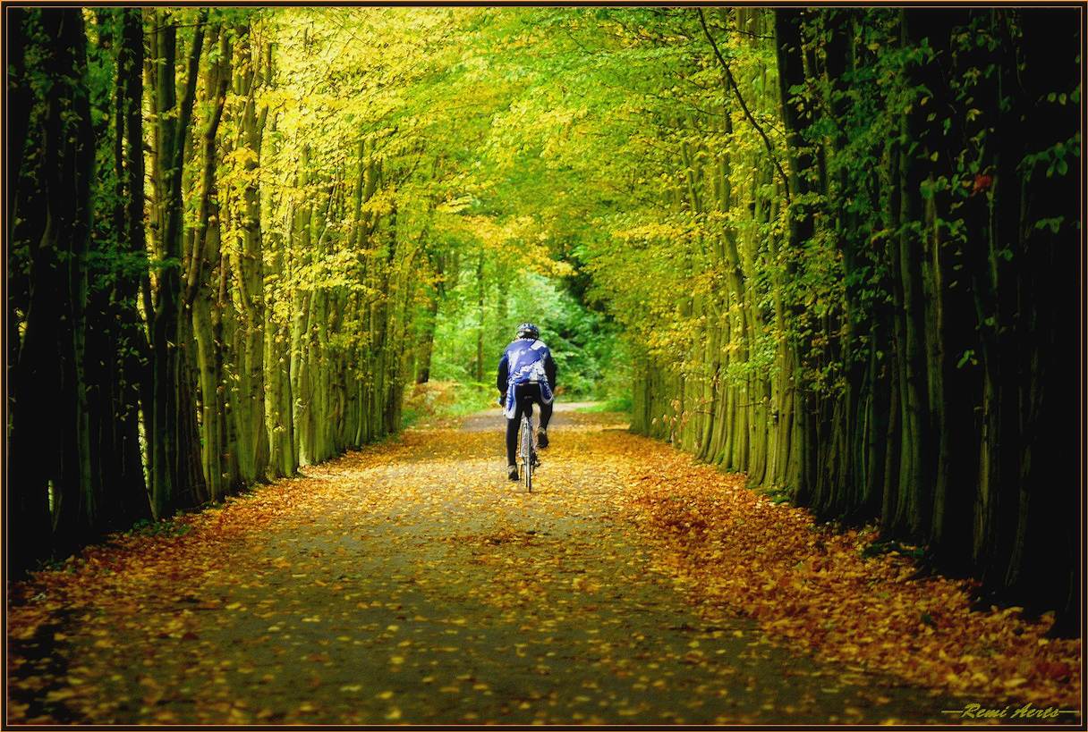 фото "lonely biker" метки: пейзаж, репортаж, осень