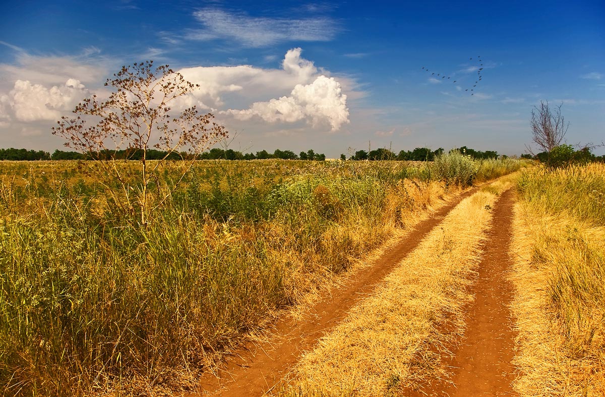 photo "***" tags: landscape, summer