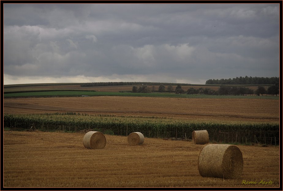 photo "***" tags: landscape, reporting, summer