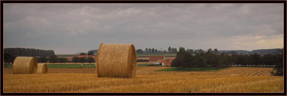 фото "***" метки: пейзаж, репортаж, лето