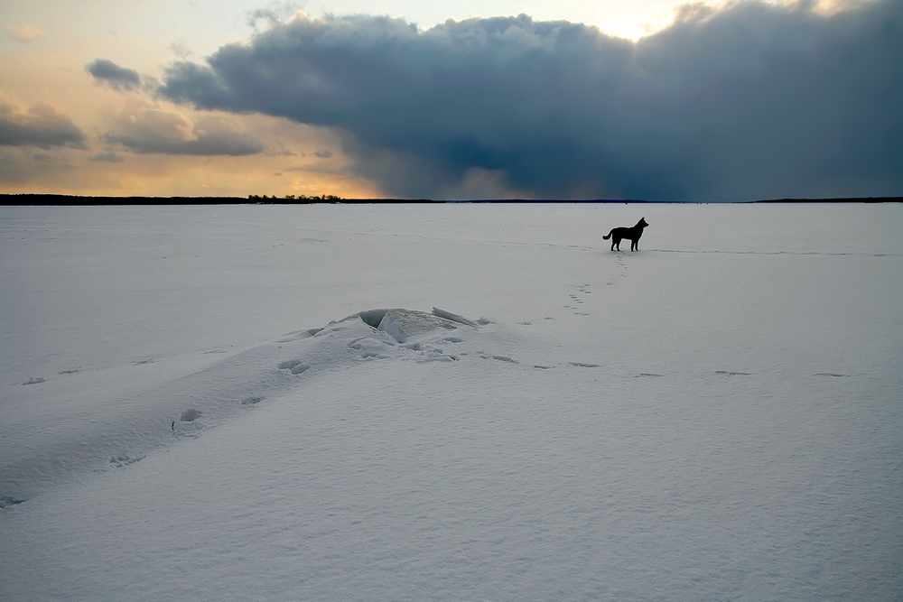 photo "***" tags: landscape, spring