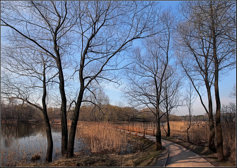 photo "Early Spring" tags: landscape, forest, spring