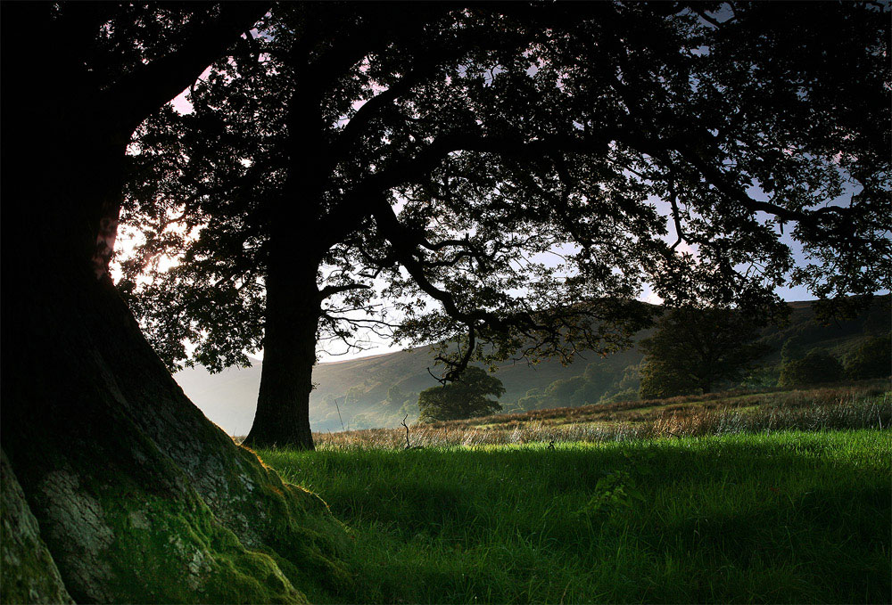 photo "Ulswater" tags: landscape, autumn, mountains