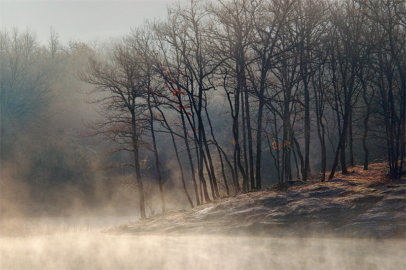 photo "***" tags: landscape, forest, water