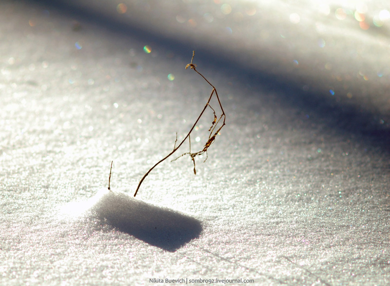 фото "Cold spark" метки: макро и крупный план, пейзаж, зима