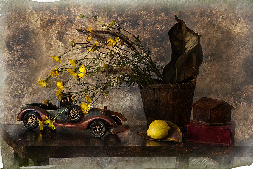фото "Натюрморт с лимоном и листьями фикуса" метки: натюрморт, 