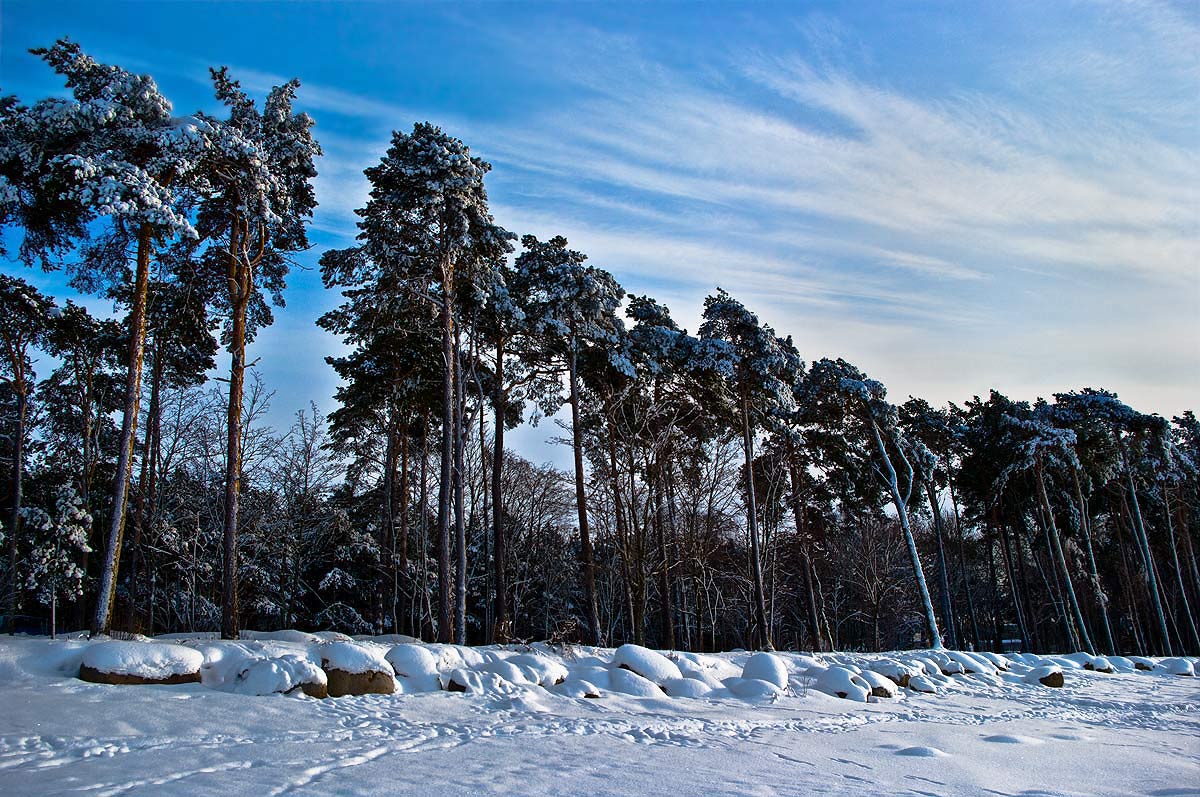 photo "***" tags: landscape, winter