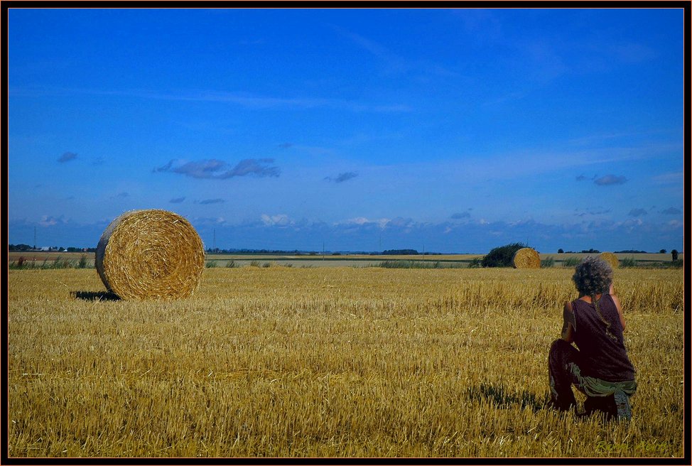 photo "***" tags: landscape, summer