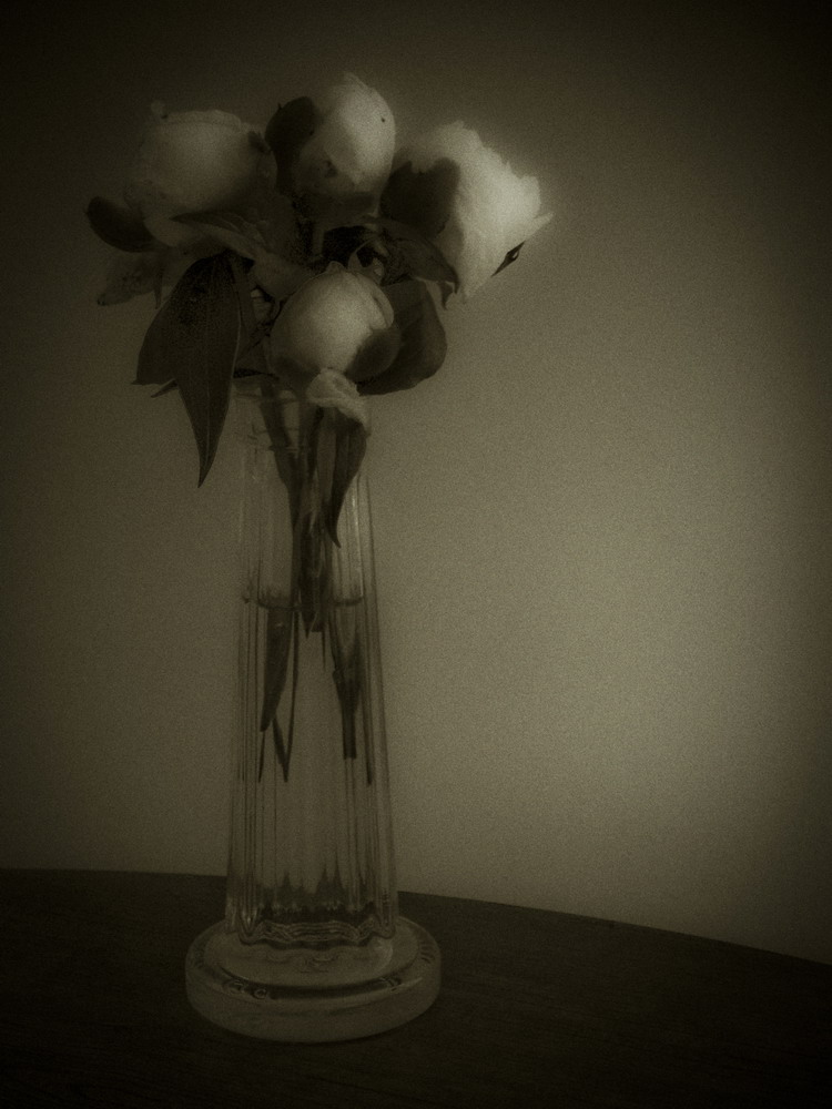 photo "***" tags: still life, 