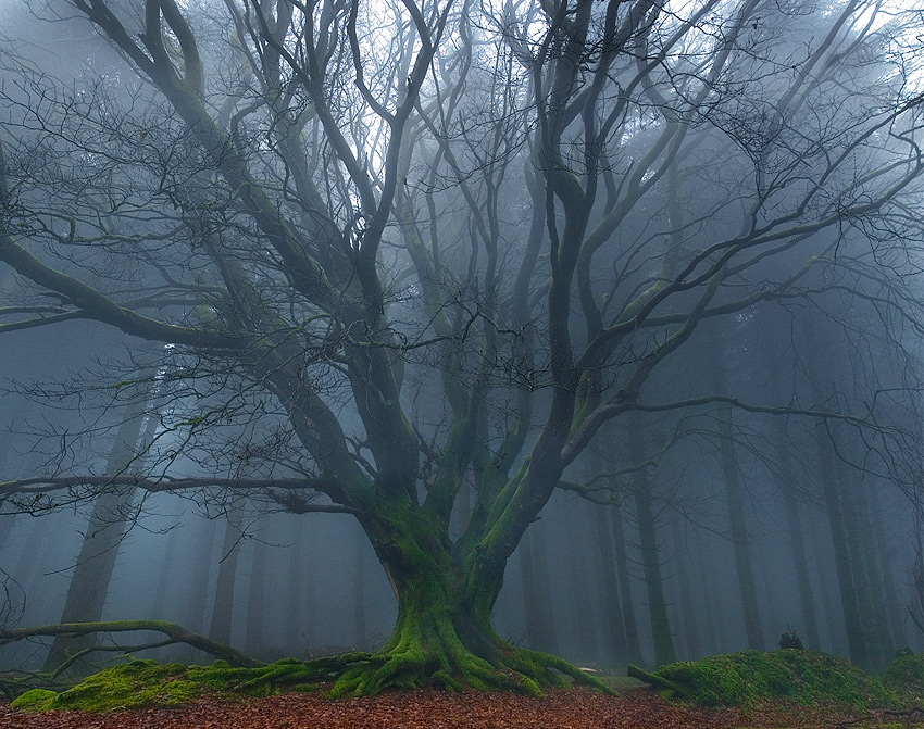 photo "King of the Castle" tags: landscape, 