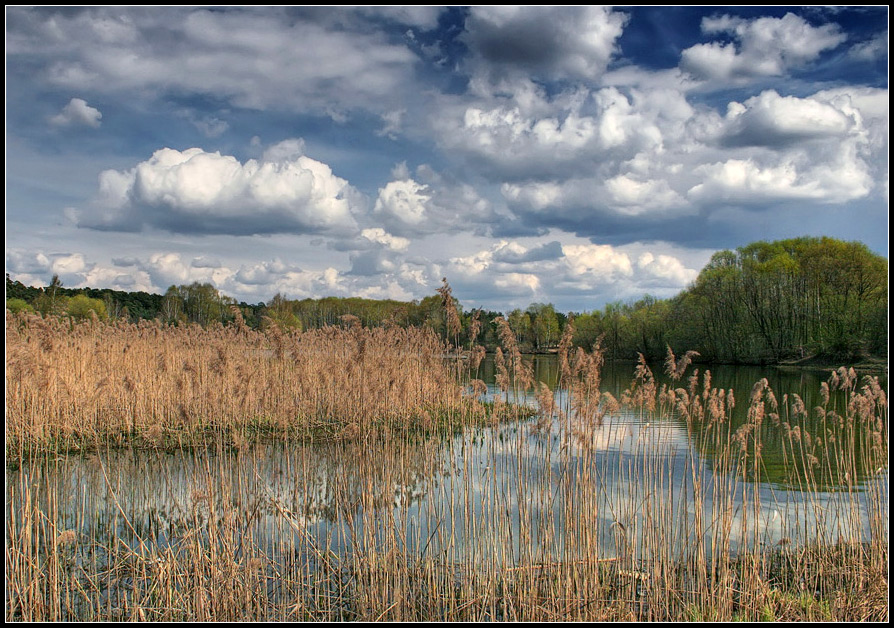 фото "Весна" метки: пейзаж, весна, вода