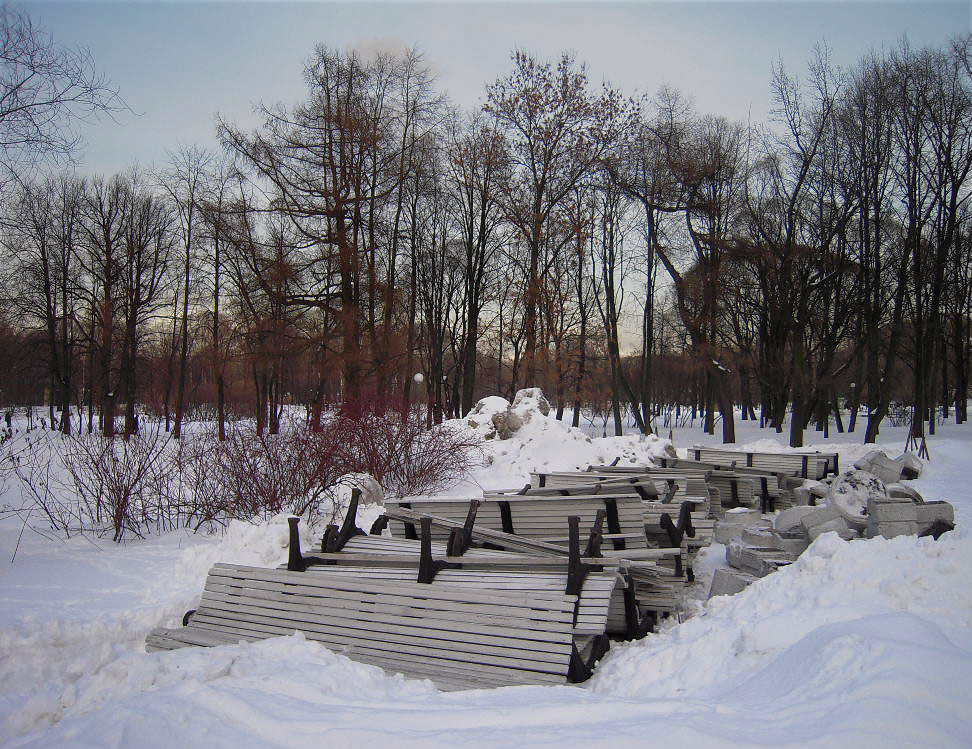 Тропаревский парк зимой