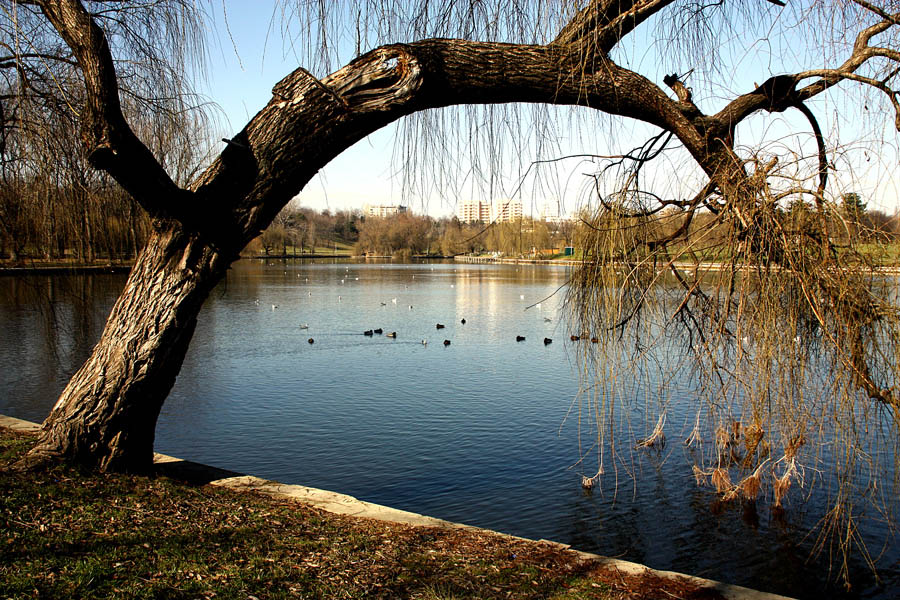 photo "Natural arch / Природные aрк" tags: landscape, panoramic, water