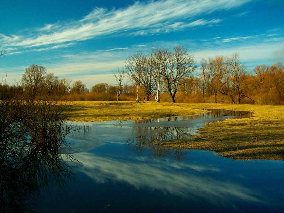 photo "***" tags: landscape, spring