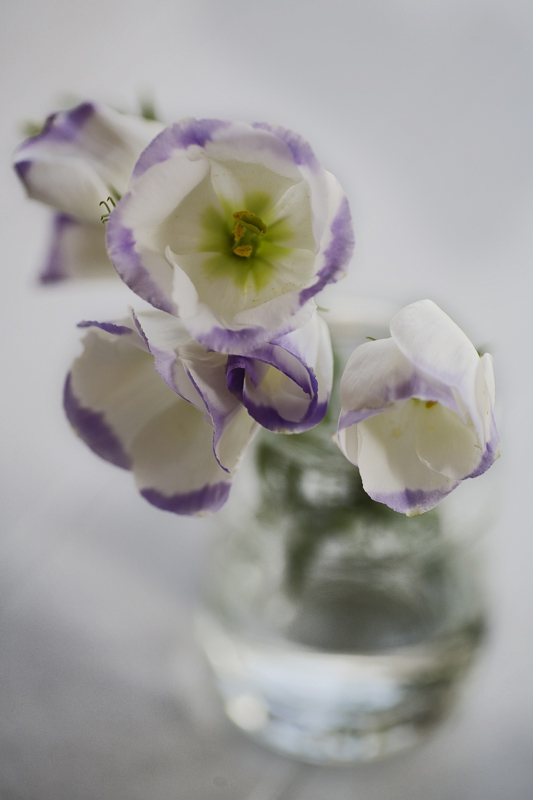 photo "Glass with flower" tags: still life, 