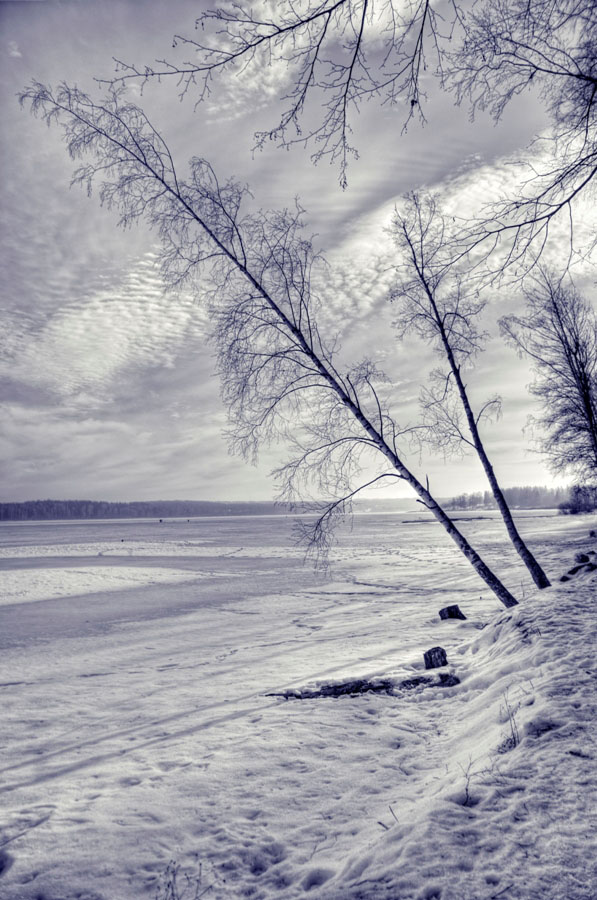 фото "..." метки: пейзаж, зима