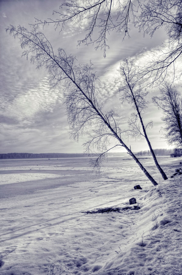 photo "***" tags: landscape, winter