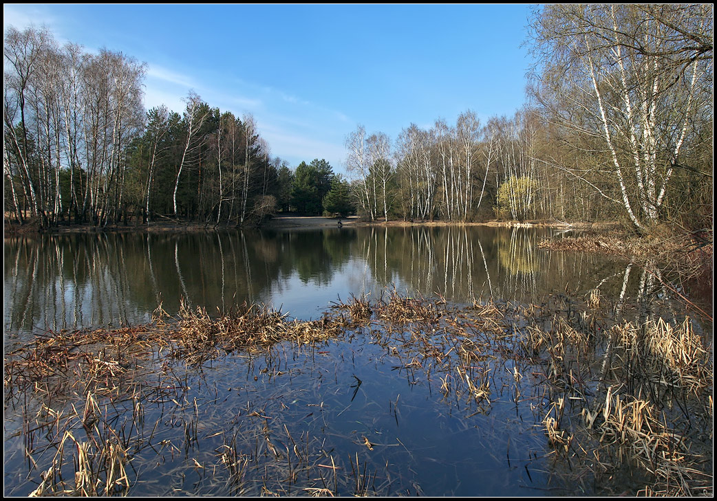 photo "spring water" tags: landscape, spring, water