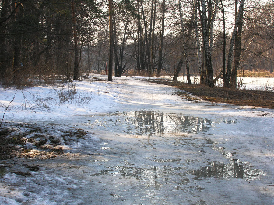 фото "***" метки: пейзаж, весна