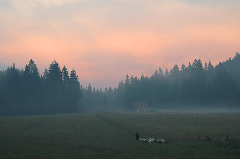 photo "Mountain life" tags: landscape, mountains