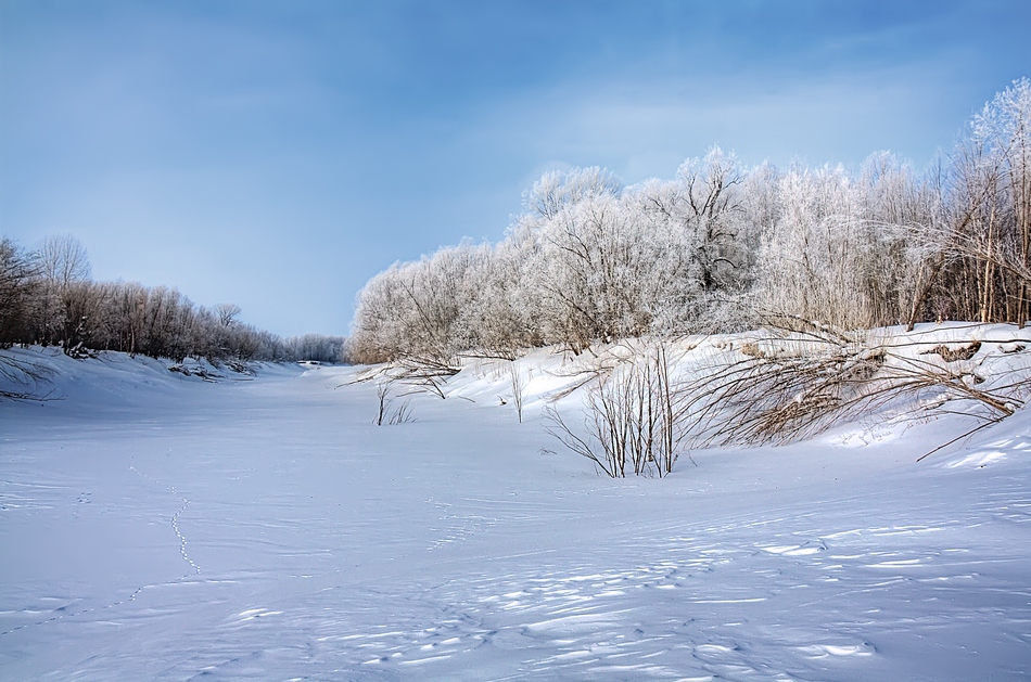 фото "Зимний день" метки: пейзаж, зима