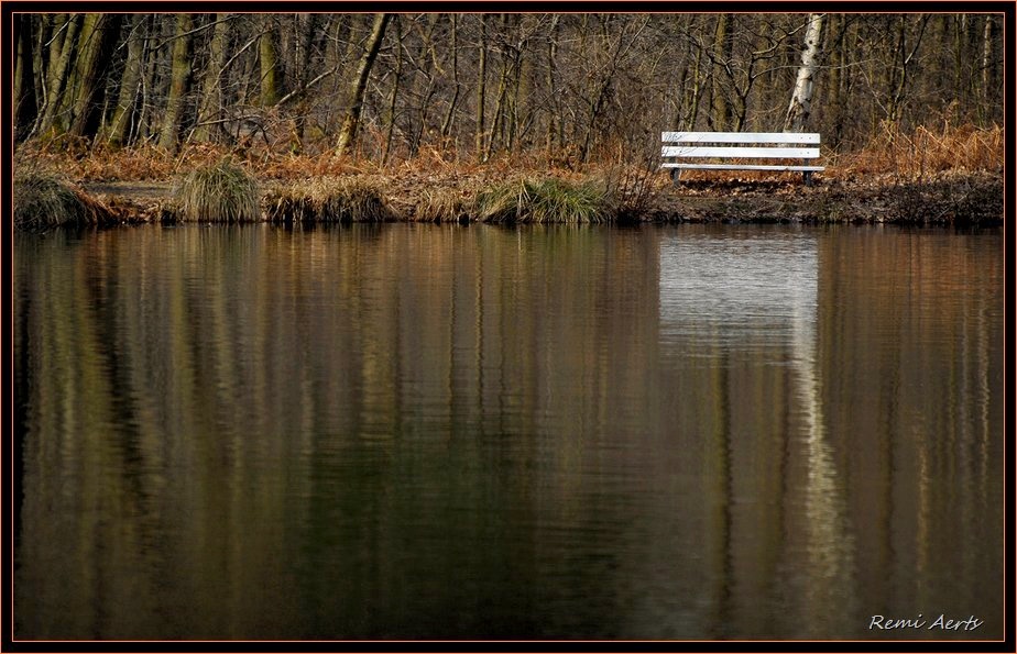 фото "bank to the pond" метки: пейзаж, вода