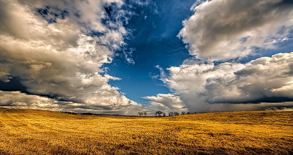 фото "Spring" метки: пейзаж, весна