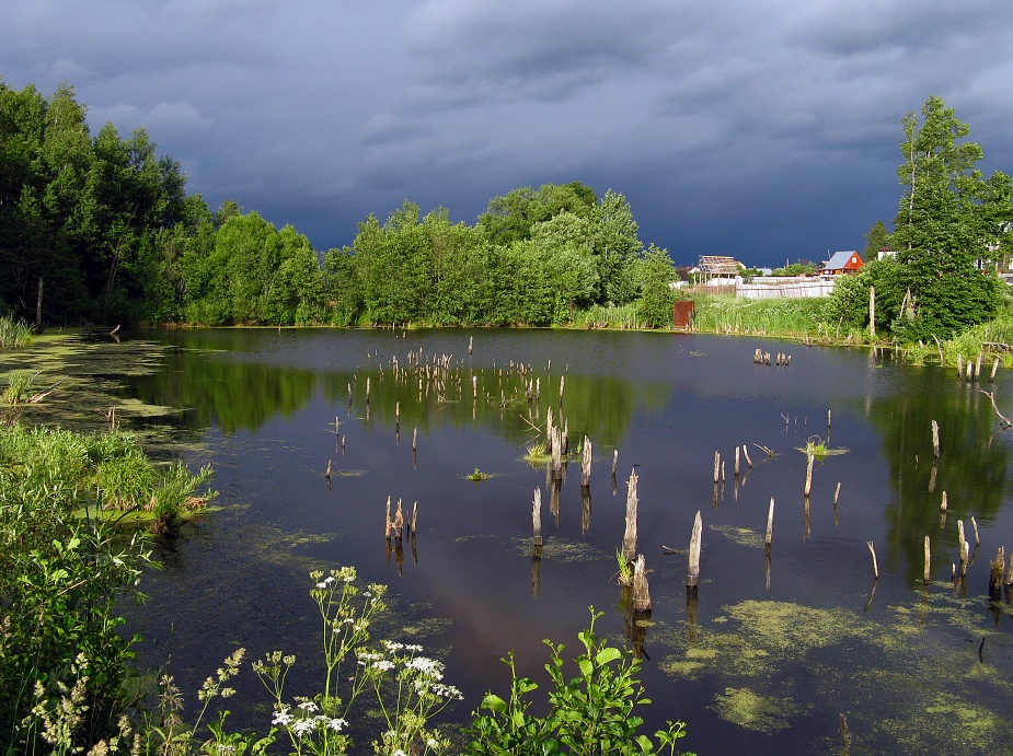 photo "Passing by storm" tags: landscape, summer, water