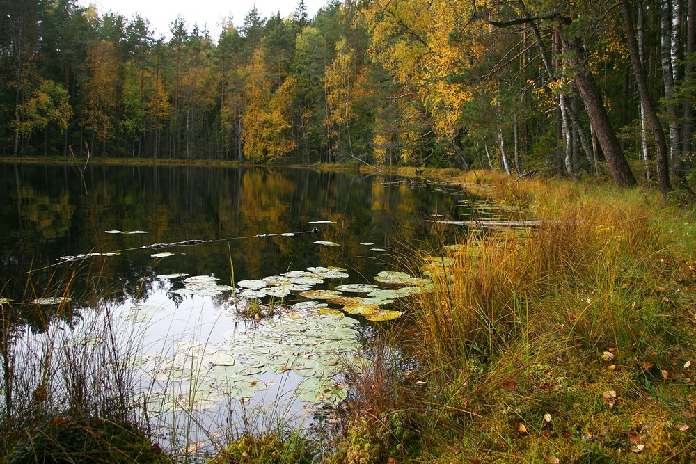 photo "***" tags: landscape, autumn