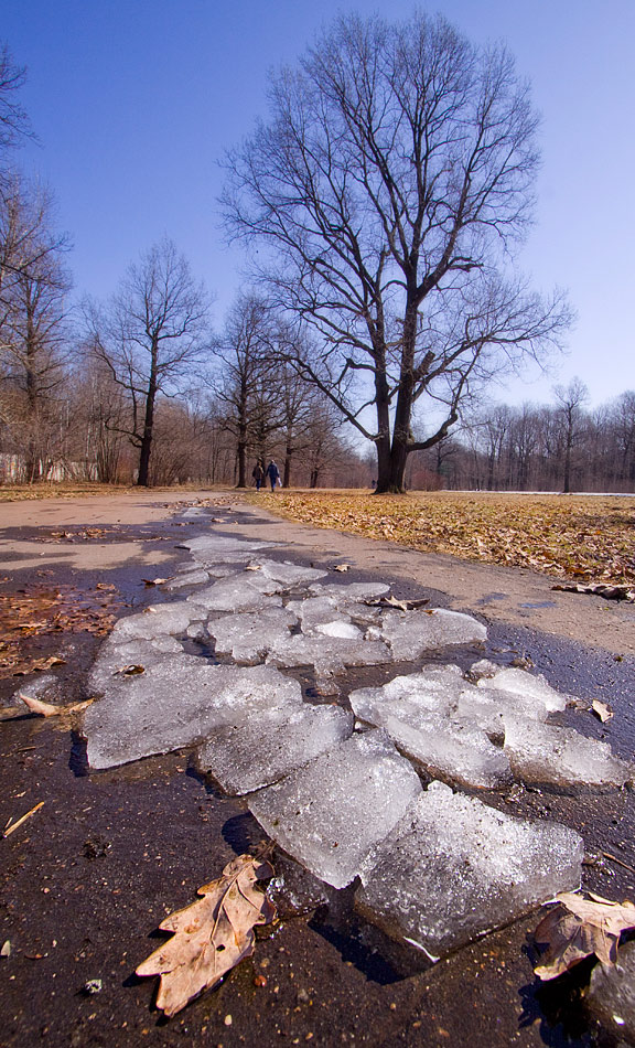 фото "* * *" метки: пейзаж, весна